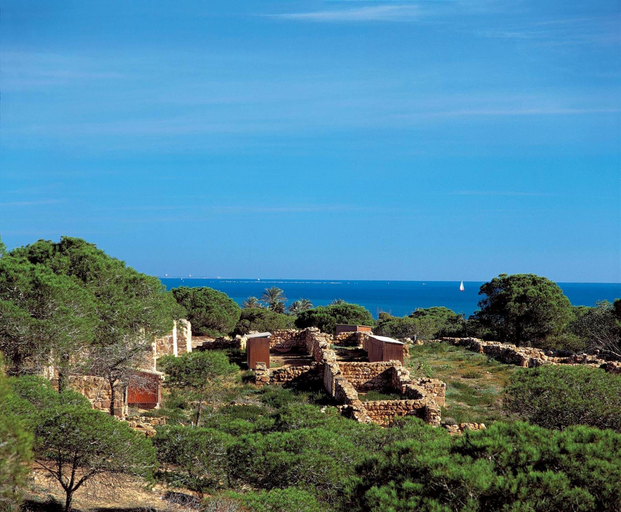 Hotel Mediterráneo Guardamar del Segura Buitenkant foto